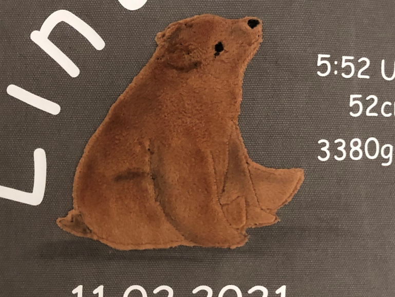 Linus mittel  13*13cm